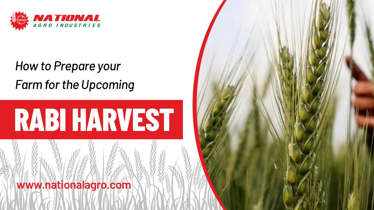 How to Prepare Your Farm for the Upcoming Rabi Harvest 